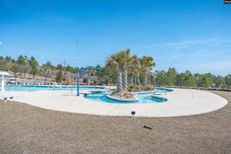 2249 Trakand Drive Lexington SC 29073