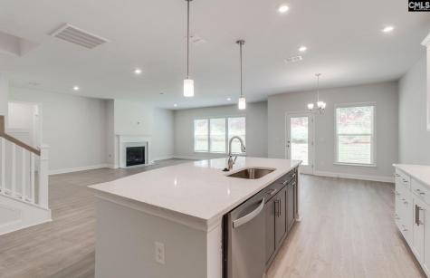 176 Schneider Lane Lexington SC 29072