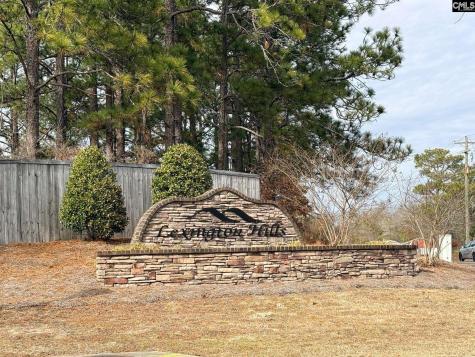 175 Savannah Hills Drive Lexington SC 29073