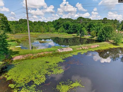 5 Dawson Pond Court Blythewood SC 29016