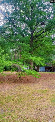 109 Oakley Drive Columbia SC 29223
