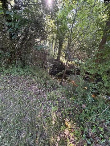 1514 Mower Newberry SC 29108