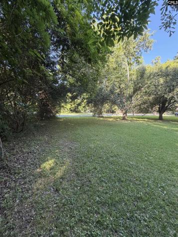 1514 Mower Newberry SC 29108