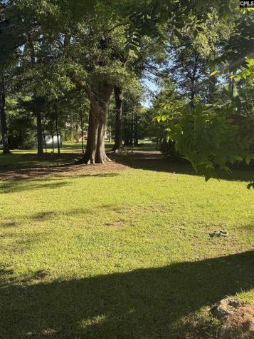 1514 Mower Newberry SC 29108