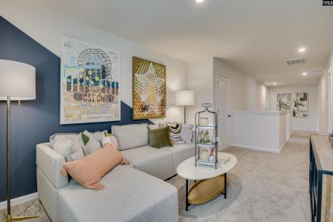 2128 Coral Daisy Trail Lexington SC 29073