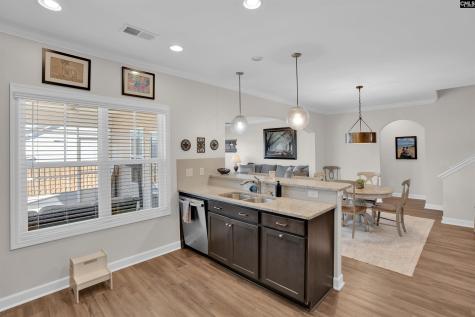 117 Sterling Hill Way Lexington SC 29072
