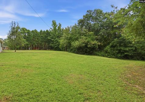 266 Chippewa Drive Columbia SC 29210-6509