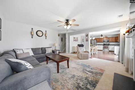 156 Drooping Leaf Drive Lexington SC 29072-6873