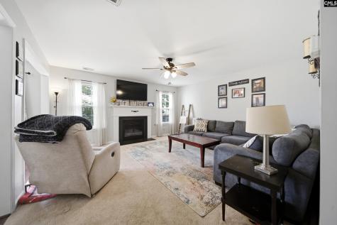 156 Drooping Leaf Drive Lexington SC 29072-6873