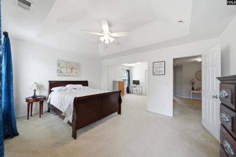 156 Drooping Leaf Drive Lexington SC 29072-6873