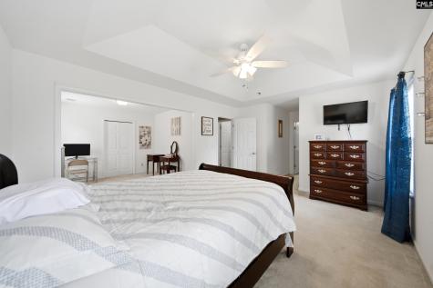 156 Drooping Leaf Drive Lexington SC 29072-6873