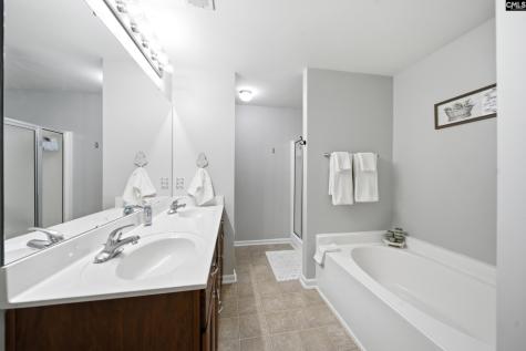 156 Drooping Leaf Drive Lexington SC 29072-6873