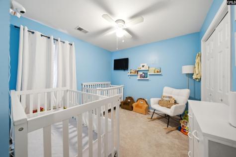 156 Drooping Leaf Drive Lexington SC 29072-6873