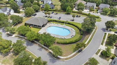 156 Drooping Leaf Drive Lexington SC 29072-6873