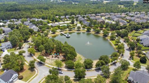156 Drooping Leaf Drive Lexington SC 29072-6873