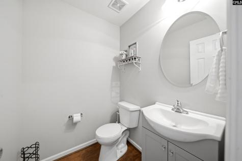 156 Drooping Leaf Drive Lexington SC 29072-6873