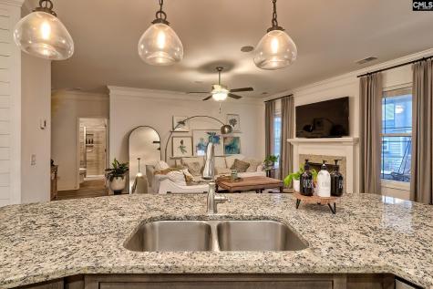 704 Council Lane Lexington SC 29072