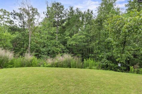 467 N High Duck Trail Blythewood SC 29016-7335