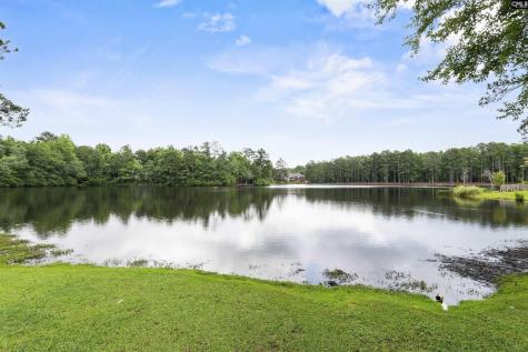 467 N High Duck Trail Blythewood SC 29016-7335