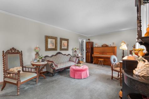 6801 Patricia Drive Columbia SC 29209