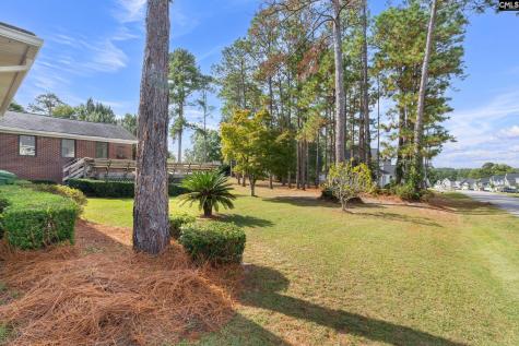 6801 Patricia Drive Columbia SC 29209