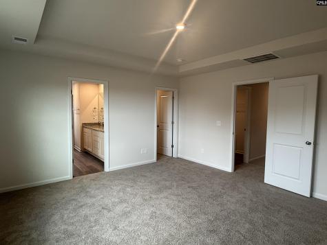 578 Swamp Grass Drive Columbia SC 29209
