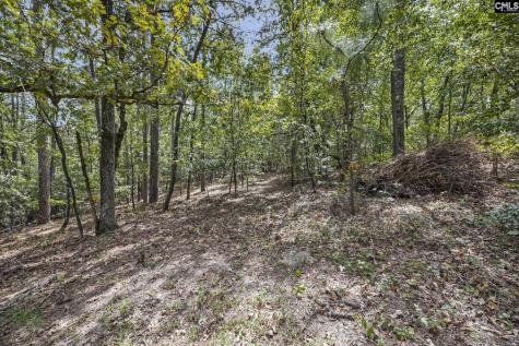 121 Coral Court Lexington SC 29073