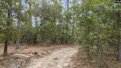 121 Coral Court Lexington SC 29073