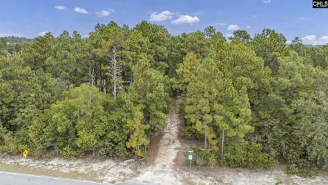 121 Coral Court Lexington SC 29073