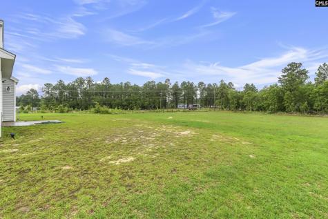 465 Vanburen Court Gaston SC 29053