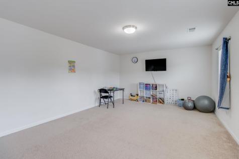 164 Prismatic Way Lexington SC 29072