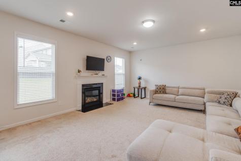 164 Prismatic Way Lexington SC 29072