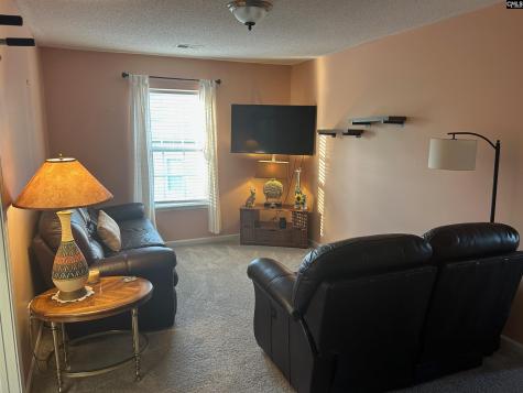 335 Indigo Springs Drive Columbia SC 29229