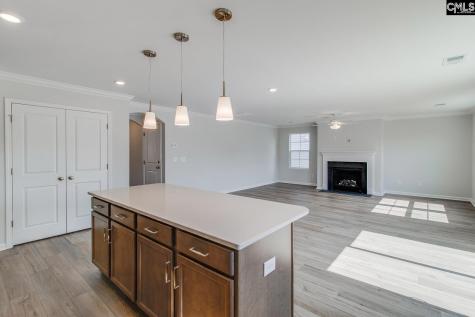6000 Edgemont Court Elgin SC 29045