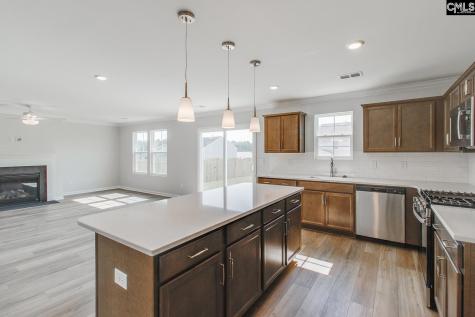 6000 Edgemont Court Elgin SC 29045