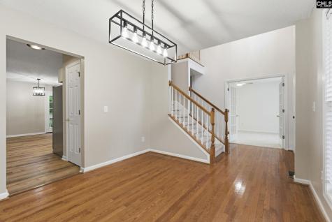 321 Delaine Woods Drive Irmo SC 29063