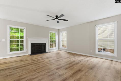 321 Delaine Woods Drive Irmo SC 29063