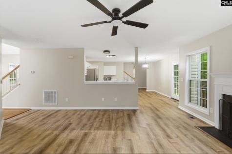 321 Delaine Woods Drive Irmo SC 29063