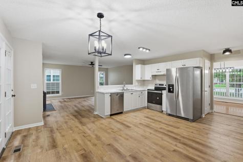 321 Delaine Woods Drive Irmo SC 29063