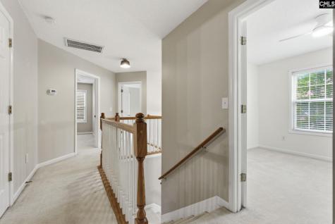 321 Delaine Woods Drive Irmo SC 29063