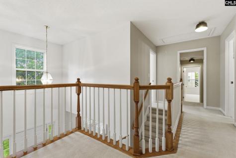 321 Delaine Woods Drive Irmo SC 29063