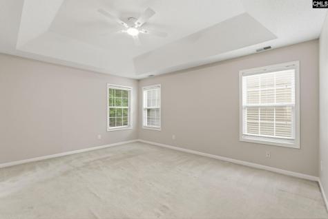 321 Delaine Woods Drive Irmo SC 29063
