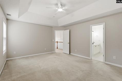 321 Delaine Woods Drive Irmo SC 29063
