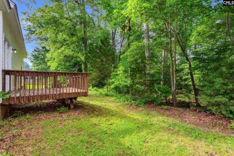 321 Delaine Woods Drive Irmo SC 29063