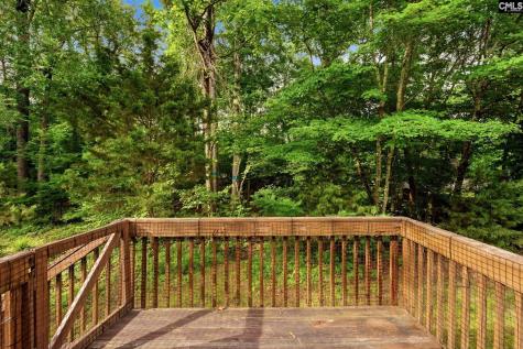 321 Delaine Woods Drive Irmo SC 29063