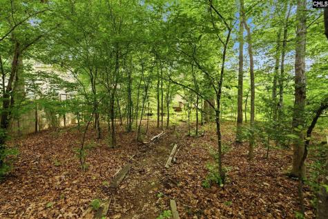 321 Delaine Woods Drive Irmo SC 29063