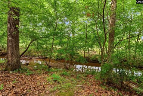 321 Delaine Woods Drive Irmo SC 29063