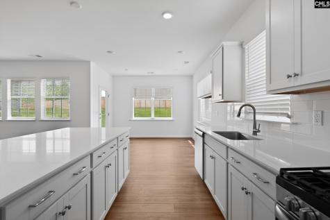 254 Foxglade Drive Gilbert SC 29054