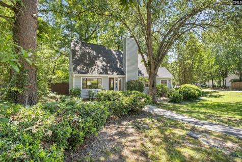1 Pioneers Point Court Irmo SC 29063