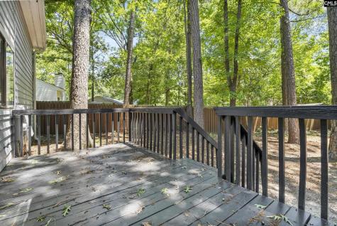 1 Pioneers Point Court Irmo SC 29063